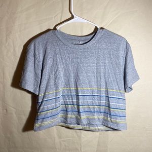 Gray striped crop top from PacSun.